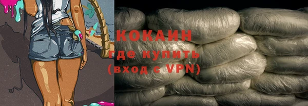 ПСИЛОЦИБИНОВЫЕ ГРИБЫ Арсеньев