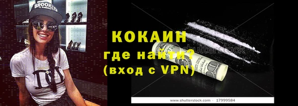 ПСИЛОЦИБИНОВЫЕ ГРИБЫ Арсеньев