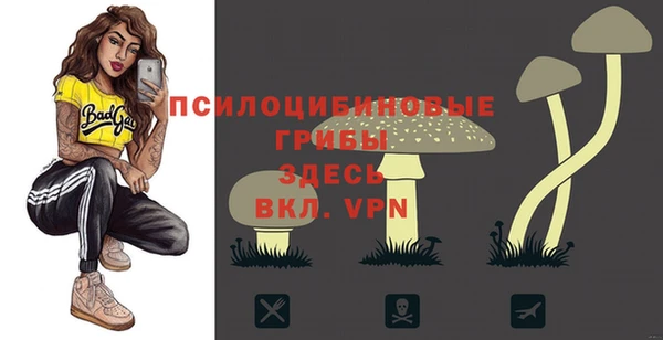 ПСИЛОЦИБИНОВЫЕ ГРИБЫ Арсеньев