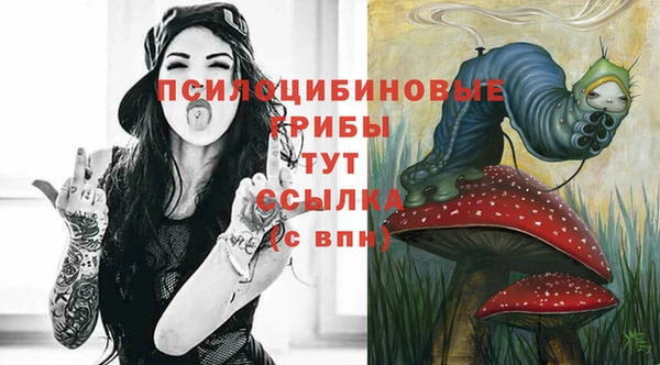 ПСИЛОЦИБИНОВЫЕ ГРИБЫ Арсеньев