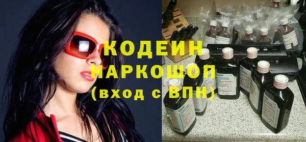 ПСИЛОЦИБИНОВЫЕ ГРИБЫ Арсеньев