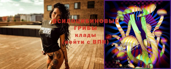 амф Аркадак