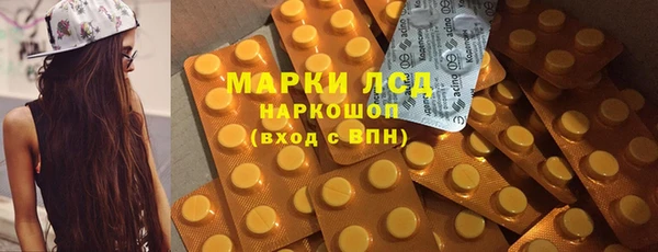 амф Аркадак