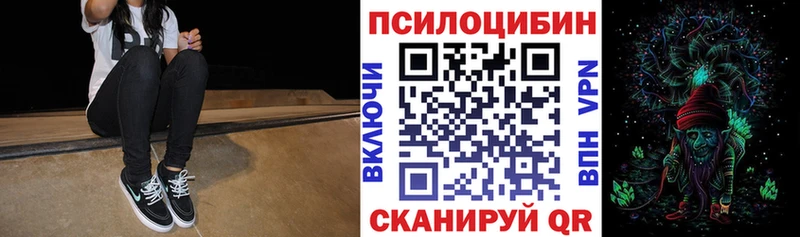 Галлюциногенные грибы Psilocybe  купить наркоту  mega вход  Усть-Лабинск 